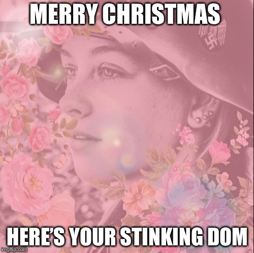 MERRY CHRISTMAS HERE’S YOUR STINKING DOMINUSETTE | made w/ Imgflip meme maker