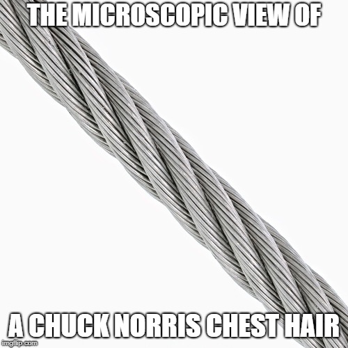 Chuck Norris chest hair

 | THE MICROSCOPIC VIEW OF; A CHUCK NORRIS CHEST HAIR | image tagged in chuck norris,memes,funny memes | made w/ Imgflip meme maker