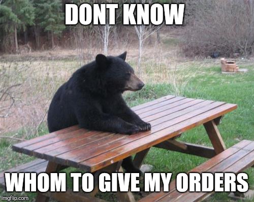 Bad Luck Bear Meme | DONT KNOW; WHOM TO GIVE MY ORDERS | image tagged in memes,bad luck bear | made w/ Imgflip meme maker