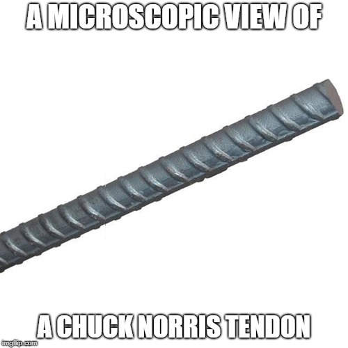 Chuck Norris tendon | A MICROSCOPIC VIEW OF; A CHUCK NORRIS TENDON | image tagged in chuck norris,memes | made w/ Imgflip meme maker