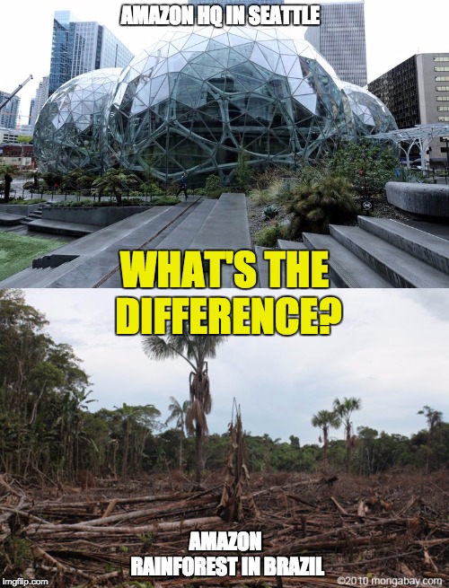 Amazon vs. Amazon | AMAZON HQ IN SEATTLE; WHAT'S THE DIFFERENCE? AMAZON RAINFOREST IN BRAZIL | image tagged in amazon,brazil | made w/ Imgflip meme maker