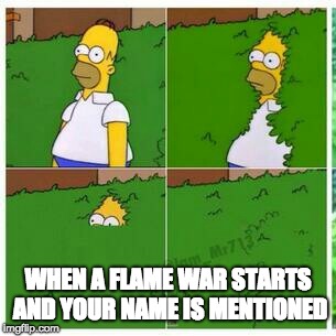 Homer hides | WHEN A FLAME WAR STARTS AND YOUR NAME IS MENTIONED | image tagged in homer hides | made w/ Imgflip meme maker