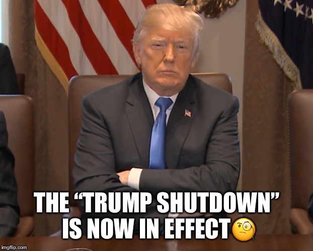 The Trump Shutdown  | THE “TRUMP SHUTDOWN” IS NOW IN EFFECT🧐 | image tagged in donald trump,trumps tantrum,the republican party,lol,in shambles,federal government | made w/ Imgflip meme maker