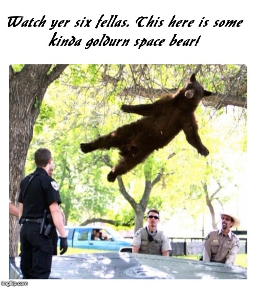 Call the commissioner and tell him we got a smokey blue book on Hamilton Drive. | image tagged in bear in the air,cops,bad bear bad bear whatcha gonna do | made w/ Imgflip meme maker