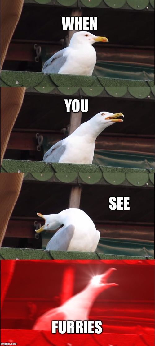 Inhaling Seagull Meme | WHEN; YOU; SEE; FURRIES | image tagged in memes,inhaling seagull | made w/ Imgflip meme maker