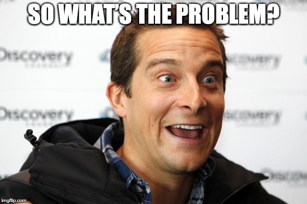 Bear Grylls Approved Food | SO WHAT’S THE PROBLEM? | image tagged in bear grylls approved food | made w/ Imgflip meme maker