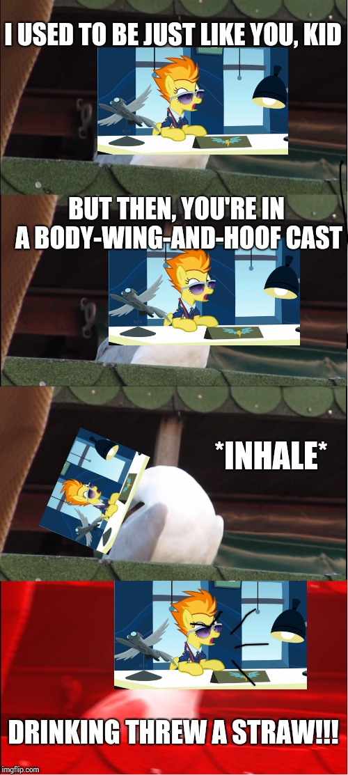 Inhaling Seagull | I USED TO BE JUST LIKE YOU, KID; BUT THEN, YOU'RE IN A BODY-WING-AND-HOOF CAST; *INHALE*; DRINKING THREW A STRAW!!! | image tagged in memes,inhaling seagull | made w/ Imgflip meme maker