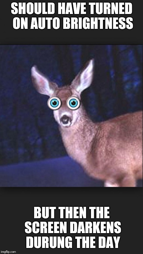 deer in headlights | SHOULD HAVE TURNED ON AUTO BRIGHTNESS BUT THEN THE SCREEN DARKENS DURUNG THE DAY | image tagged in deer in headlights | made w/ Imgflip meme maker