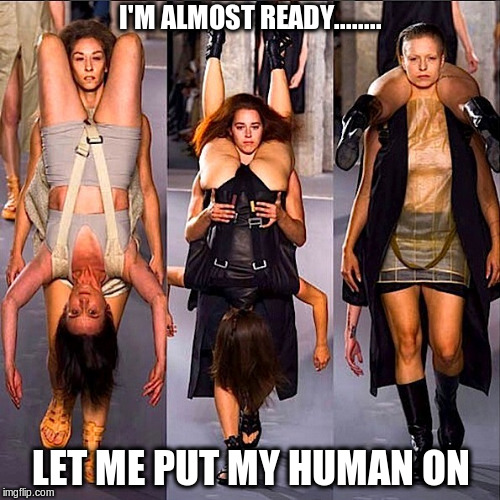 Human Fashion  | I'M ALMOST READY........ LET ME PUT MY HUMAN ON | image tagged in human,human fashion,humans | made w/ Imgflip meme maker