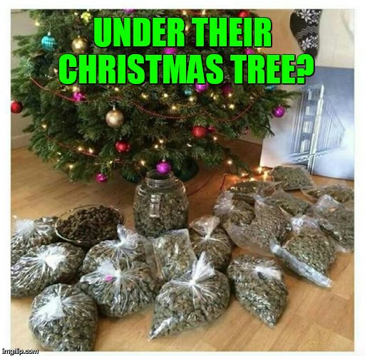 Who Else Would Like Santa To Leave This | UNDER THEIR CHRISTMAS TREE? | image tagged in memes,santa,left,marijuana,under,christmas tree | made w/ Imgflip meme maker