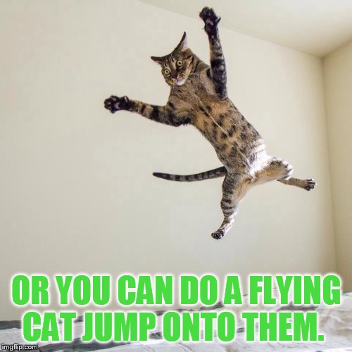 OR YOU CAN DO A FLYING CAT JUMP ONTO THEM. | made w/ Imgflip meme maker