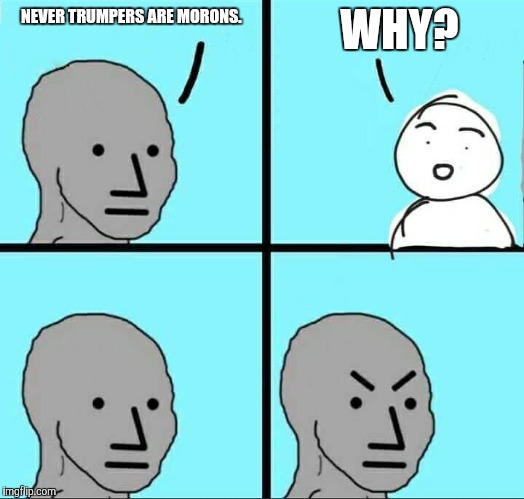 NPC Meme | NEVER TRUMPERS ARE MORONS. WHY? | image tagged in npc meme | made w/ Imgflip meme maker