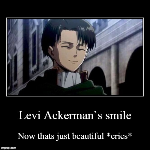 Levi Ackerman`s smile.