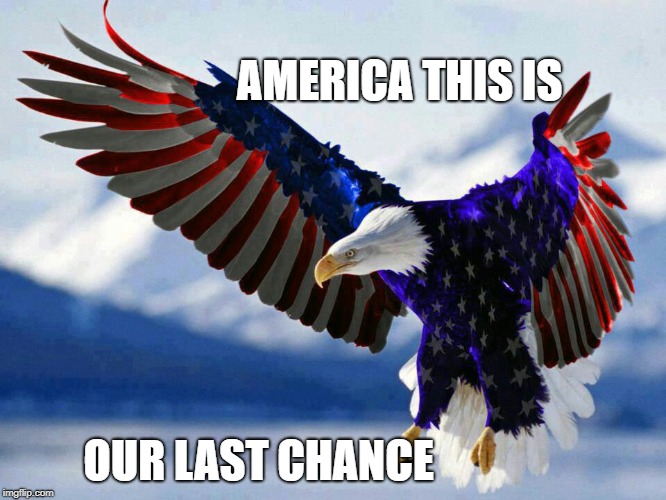 patriotic flag eagle in red white and blue | AMERICA THIS IS; OUR LAST CHANCE | image tagged in patriotic flag eagle in red white and blue | made w/ Imgflip meme maker