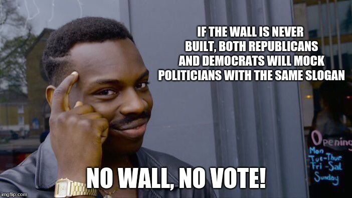 No Wall, No Vote! | IF THE WALL IS NEVER BUILT, BOTH REPUBLICANS AND DEMOCRATS WILL MOCK POLITICIANS WITH THE SAME SLOGAN; NO WALL, NO VOTE! | image tagged in memes,roll safe think about it,no wall no vote,vote out incumbents,congress sucks | made w/ Imgflip meme maker