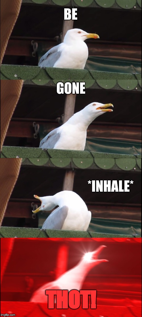 Inhaling Seagull Meme | BE; GONE; *INHALE*; THOT! | image tagged in memes,inhaling seagull | made w/ Imgflip meme maker