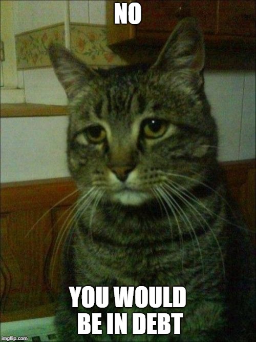 Depressed Cat Meme | NO YOU WOULD BE IN DEBT | image tagged in memes,depressed cat | made w/ Imgflip meme maker