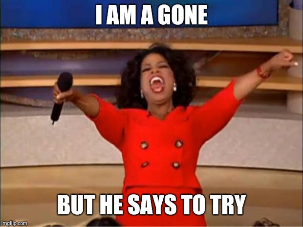 Oprah You Get A | I AM A GONE; BUT HE SAYS TO TRY | image tagged in memes,oprah you get a | made w/ Imgflip meme maker