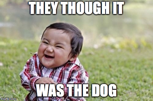 Evil Toddler | THEY THOUGH IT; WAS THE DOG | image tagged in memes,evil toddler | made w/ Imgflip meme maker