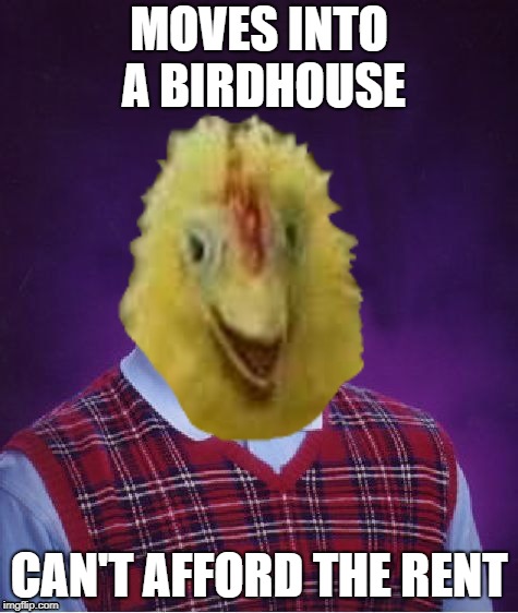 MOVES INTO A BIRDHOUSE CAN'T AFFORD THE RENT | made w/ Imgflip meme maker