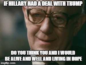 Smiley Hope | IF HILLARY HAD A DEAL WITH TRUMP; DO YOU THINK YOU AND I WOULD BE ALIVE AND WELL AND LIVING IN HOPE | image tagged in smiley hope | made w/ Imgflip meme maker