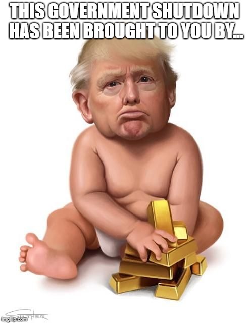 Baby trump | THIS GOVERNMENT SHUTDOWN HAS BEEN BROUGHT TO YOU BY... | image tagged in baby trump | made w/ Imgflip meme maker