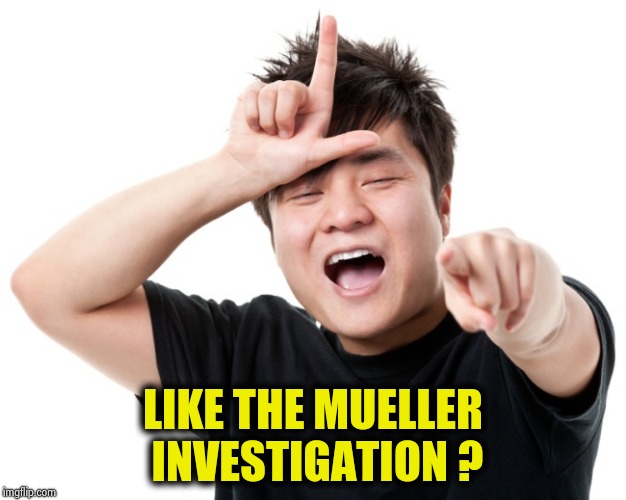 You're a loser | LIKE THE MUELLER INVESTIGATION ? | image tagged in you're a loser | made w/ Imgflip meme maker