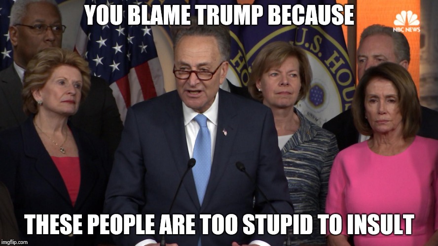 Democrat congressmen | YOU BLAME TRUMP BECAUSE THESE PEOPLE ARE TOO STUPID TO INSULT | image tagged in democrat congressmen | made w/ Imgflip meme maker