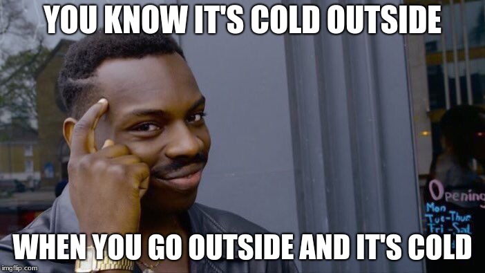 Roll Safe Think About It Meme | YOU KNOW IT'S COLD OUTSIDE; WHEN YOU GO OUTSIDE AND IT'S COLD | image tagged in memes,roll safe think about it | made w/ Imgflip meme maker