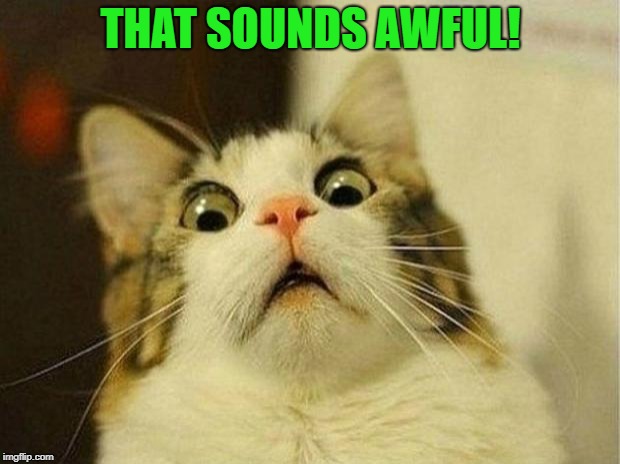 Scared Cat Meme | THAT SOUNDS AWFUL! | image tagged in memes,scared cat | made w/ Imgflip meme maker