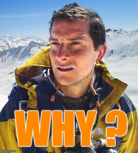 Bear Grylls Meme | WHY ? | image tagged in memes,bear grylls | made w/ Imgflip meme maker