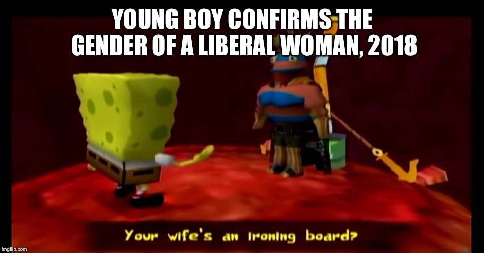 Look at the picture | YOUNG BOY CONFIRMS THE GENDER OF A LIBERAL WOMAN, 2018 | image tagged in gender,tag,no u | made w/ Imgflip meme maker
