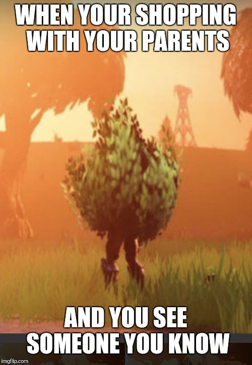 Fortnite bush | WHEN YOUR SHOPPING WITH YOUR PARENTS; AND YOU SEE SOMEONE YOU KNOW | image tagged in fortnite bush | made w/ Imgflip meme maker