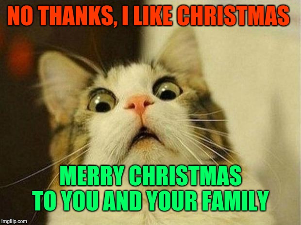 Scared Cat Meme | NO THANKS, I LIKE CHRISTMAS MERRY CHRISTMAS TO YOU AND YOUR FAMILY | image tagged in memes,scared cat | made w/ Imgflip meme maker