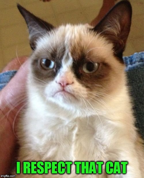 Grumpy Cat Meme | I RESPECT THAT CAT | image tagged in memes,grumpy cat | made w/ Imgflip meme maker