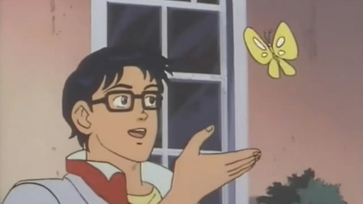 is this a butterfly ? Blank Meme Template