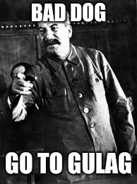 BAD DOG; GO TO GULAG | image tagged in stalin | made w/ Imgflip meme maker