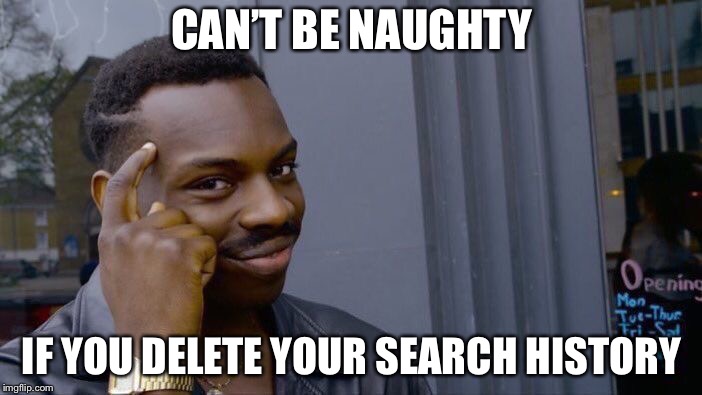 Roll Safe Think About It | CAN’T BE NAUGHTY; IF YOU DELETE YOUR SEARCH HISTORY | image tagged in memes,roll safe think about it | made w/ Imgflip meme maker