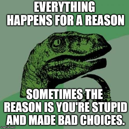 Philosoraptor | EVERYTHING HAPPENS FOR A REASON; SOMETIMES THE REASON IS YOU'RE STUPID AND MADE BAD CHOICES. | image tagged in memes,philosoraptor | made w/ Imgflip meme maker