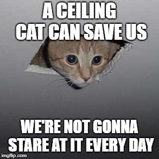 Ceiling Cat Meme | A CEILING CAT CAN SAVE US; WE'RE NOT GONNA STARE AT IT EVERY DAY | image tagged in memes,ceiling cat | made w/ Imgflip meme maker