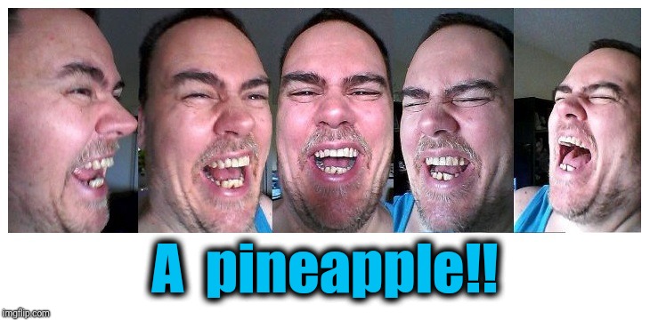 LOL | A  pineapple!! | image tagged in lol | made w/ Imgflip meme maker