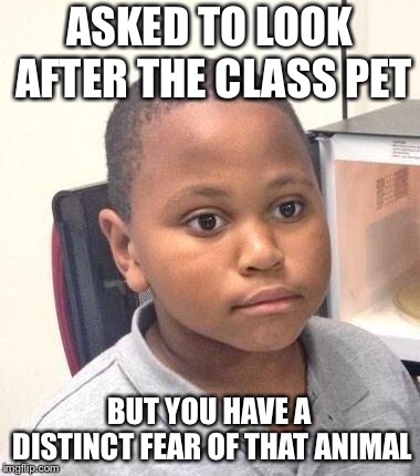 Minor Mistake Marvin Meme | ASKED TO LOOK AFTER THE CLASS PET; BUT YOU HAVE A DISTINCT FEAR OF THAT ANIMAL | image tagged in memes,minor mistake marvin | made w/ Imgflip meme maker