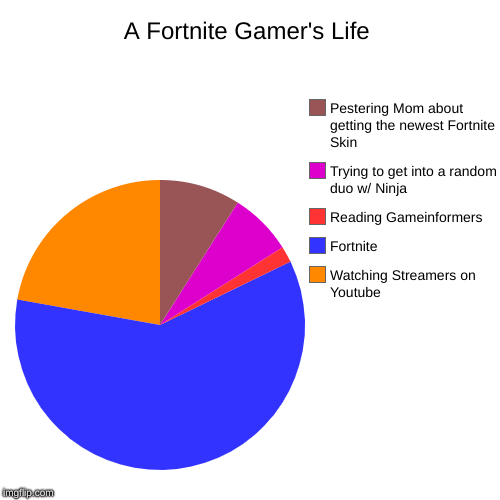 A Fortnite Gamer's Life | A Fortnite Gamer's Life | Watching Streamers on Youtube, Fortnite, Reading Gameinformers, Trying to get into a random duo w/ Ninja, Pesterin | image tagged in funny,pie charts,fortnite,ninja,video games,gamers | made w/ Imgflip chart maker