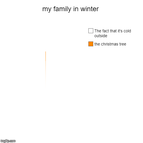 my family in winter | the christmas tree, The fact that it's cold outside | image tagged in funny,pie charts | made w/ Imgflip chart maker