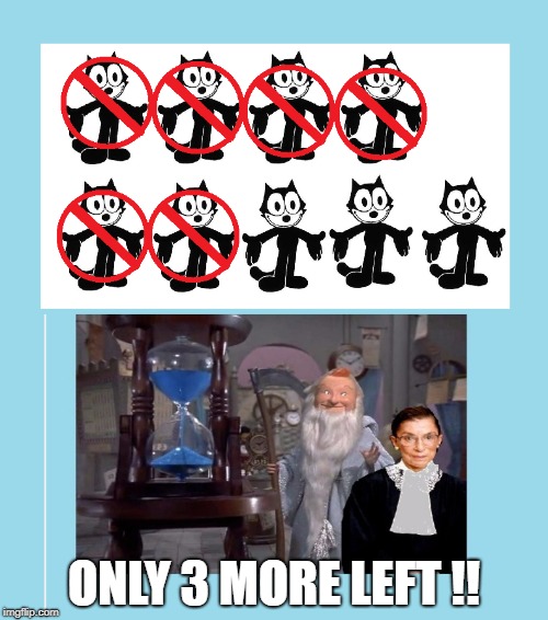 ONLY 3 MORE LEFT !! | image tagged in ruth bader ginsburg | made w/ Imgflip meme maker