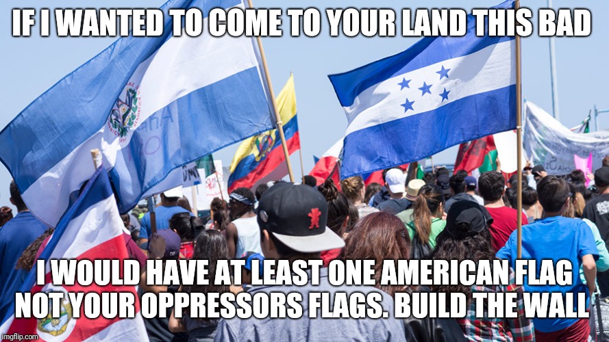 IF I WANTED TO COME TO YOUR LAND THIS BAD; I WOULD HAVE AT LEAST ONE AMERICAN FLAG NOT YOUR OPPRESSORS FLAGS.
BUILD THE WALL | image tagged in chilly | made w/ Imgflip meme maker