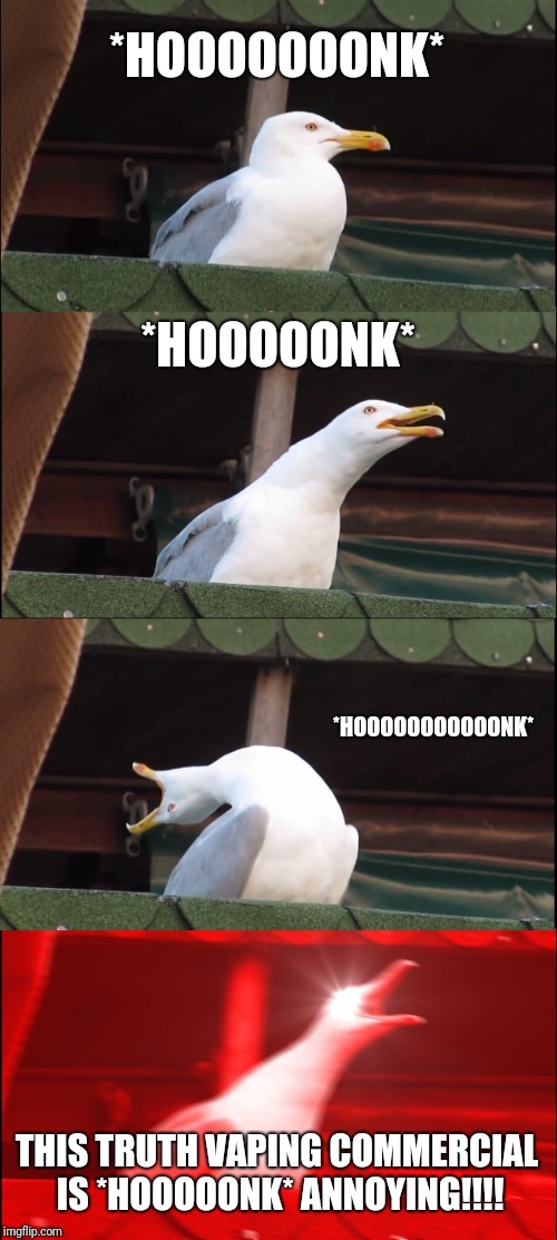 When you are watching TV and the truth ad comes on..... | *HOOOOOOONK*; *HOOOOONK*; *HOOOOOOOOOOONK*; THIS TRUTH VAPING COMMERCIAL IS *HOOOOONK* ANNOYING!!!! | image tagged in memes,inhaling seagull,vaping,commercials,annoying | made w/ Imgflip meme maker