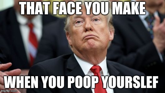 Donald Trump poops himself | THAT FACE YOU MAKE; WHEN YOU POOP YOURSLEF | image tagged in politics | made w/ Imgflip meme maker
