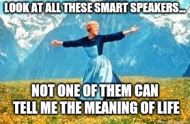 Look At All These Meme | LOOK AT ALL THESE SMART SPEAKERS... NOT ONE OF THEM CAN TELL ME THE MEANING OF LIFE | image tagged in memes,look at all these | made w/ Imgflip meme maker