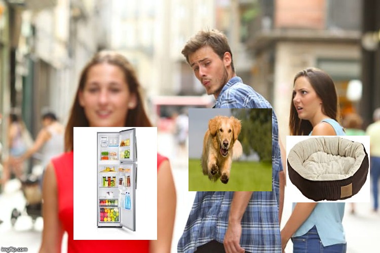 Distracted Boyfriend | image tagged in memes,distracted boyfriend | made w/ Imgflip meme maker